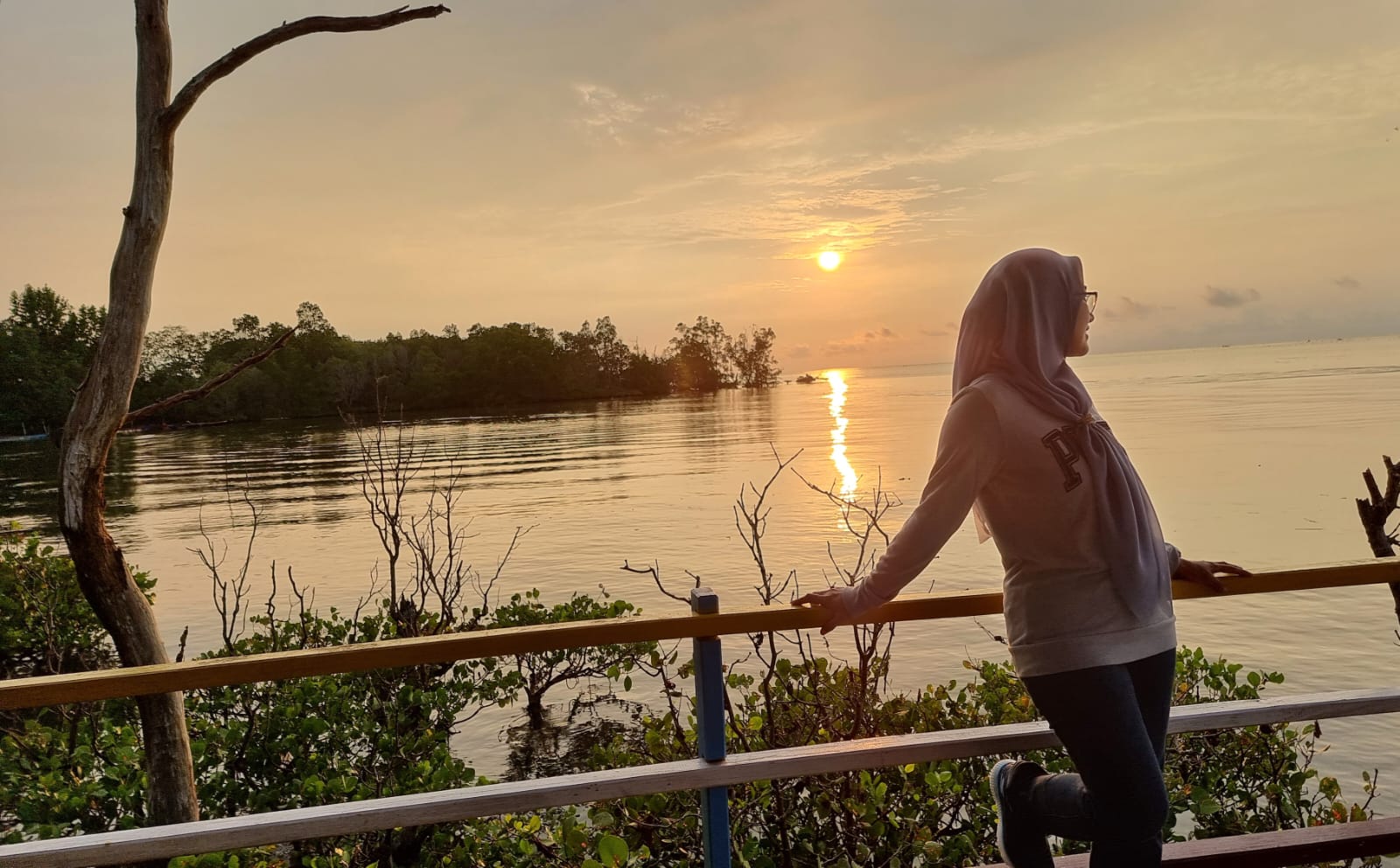 WISATA MANGROVE POREANG